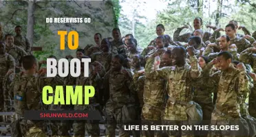 Do Reservists Attend Boot Camp? Understanding Military Training Requirements