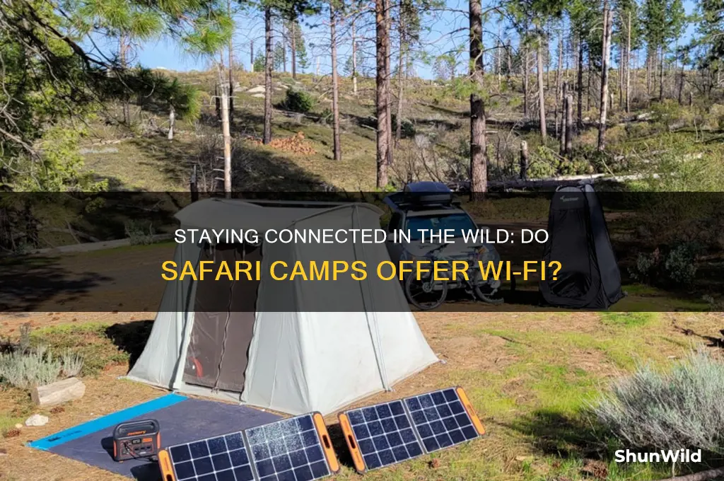 do safari camps have wifi