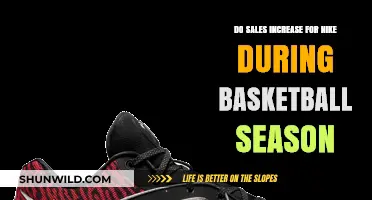 Basketball Season: Nike's Sales Performance Review