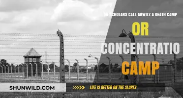 Auschwitz: Death Camp or Concentration Camp? Scholars Weigh In