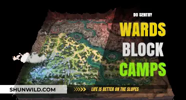 Do Sentry Wards Block Camps? A Comprehensive Guide for Gamers