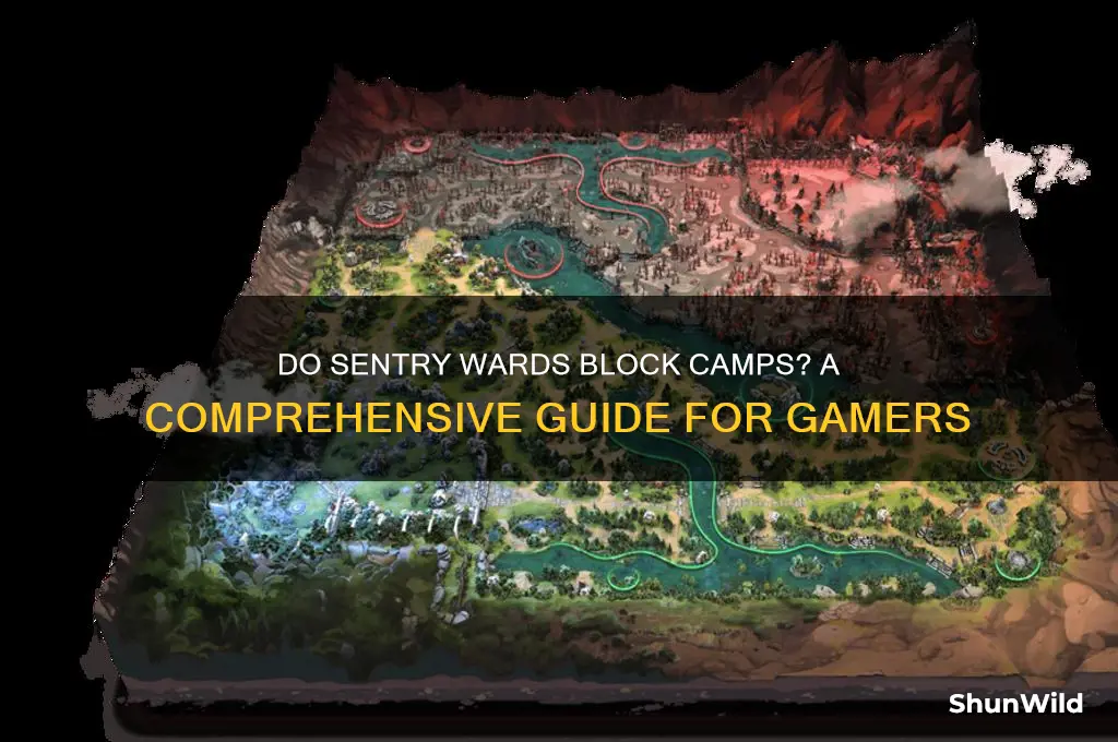 do sentry wards block camps
