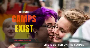 Do Straight Camps Exist? Exploring the Reality Behind the Myth