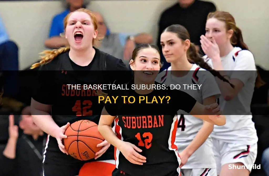do subrubans pay basketball