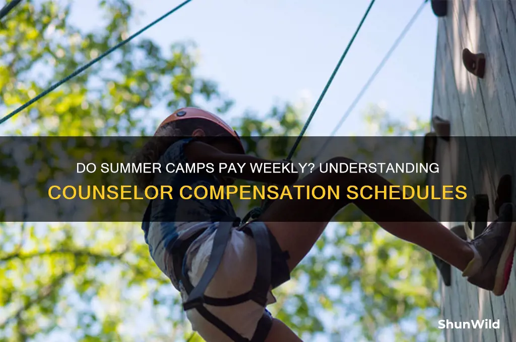 do summer camps pay weekly