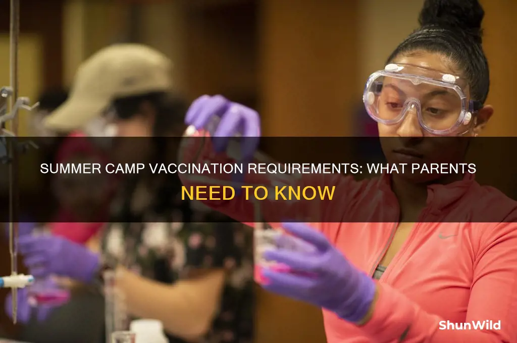 do summer camps require vaccinations