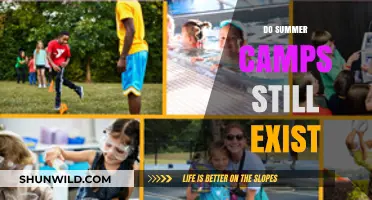 Are Summer Camps Still a Thing? Exploring Their Modern Relevance