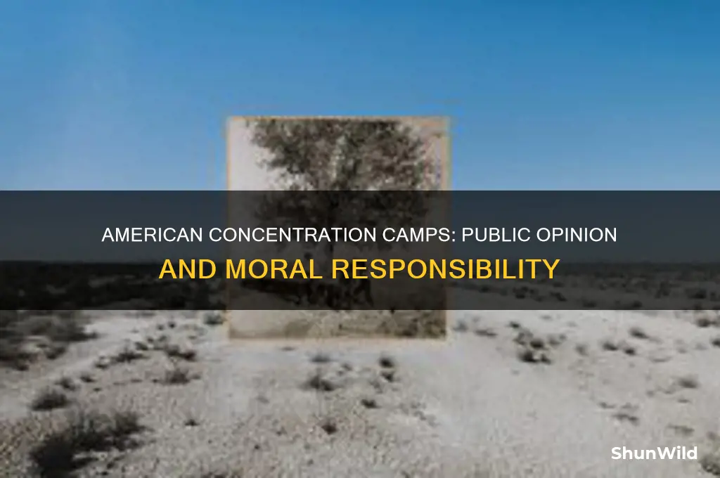 do the american concentration camps have popular support