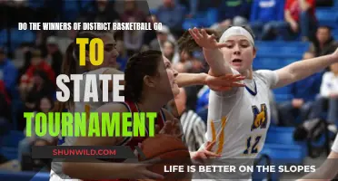 District Basketball Champions: State Tournament Bound?