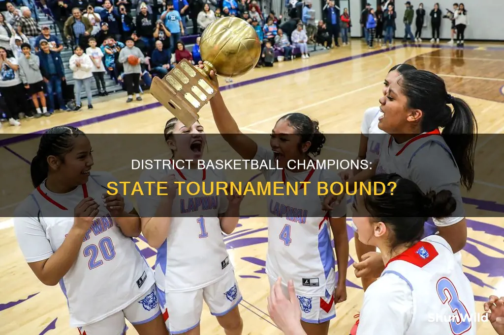do the winners of district basketball go to state tournament