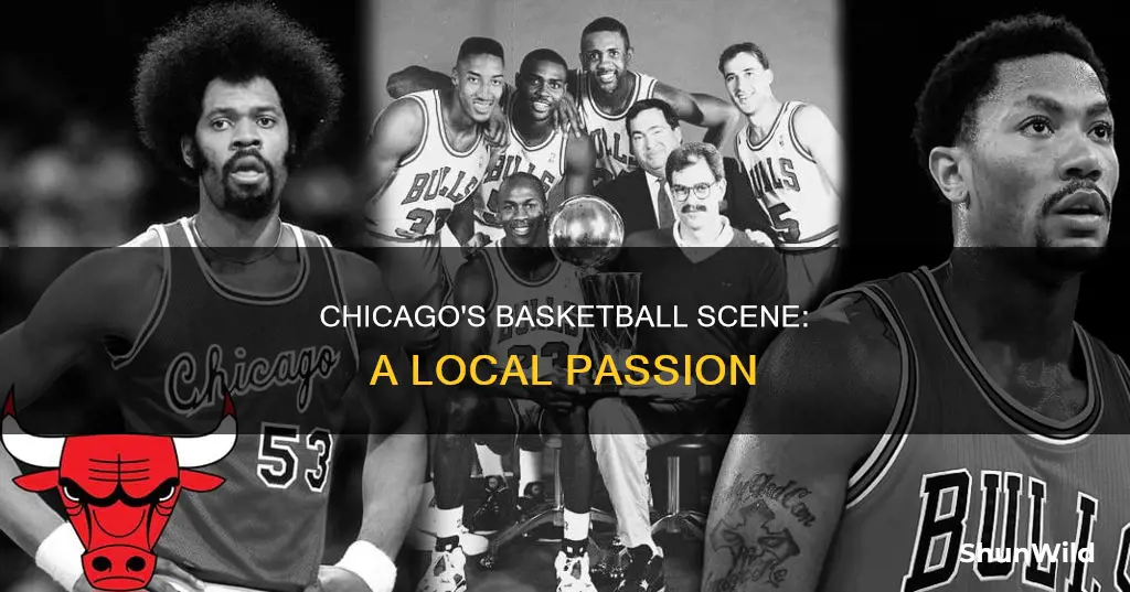 do thet plat basketball in chicago