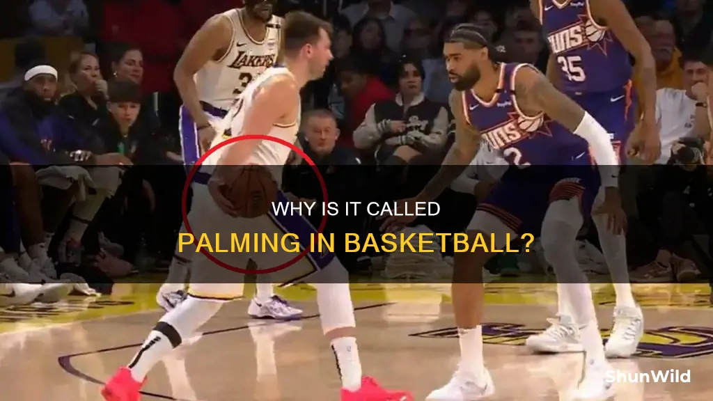 do they call palming the ball in basketball