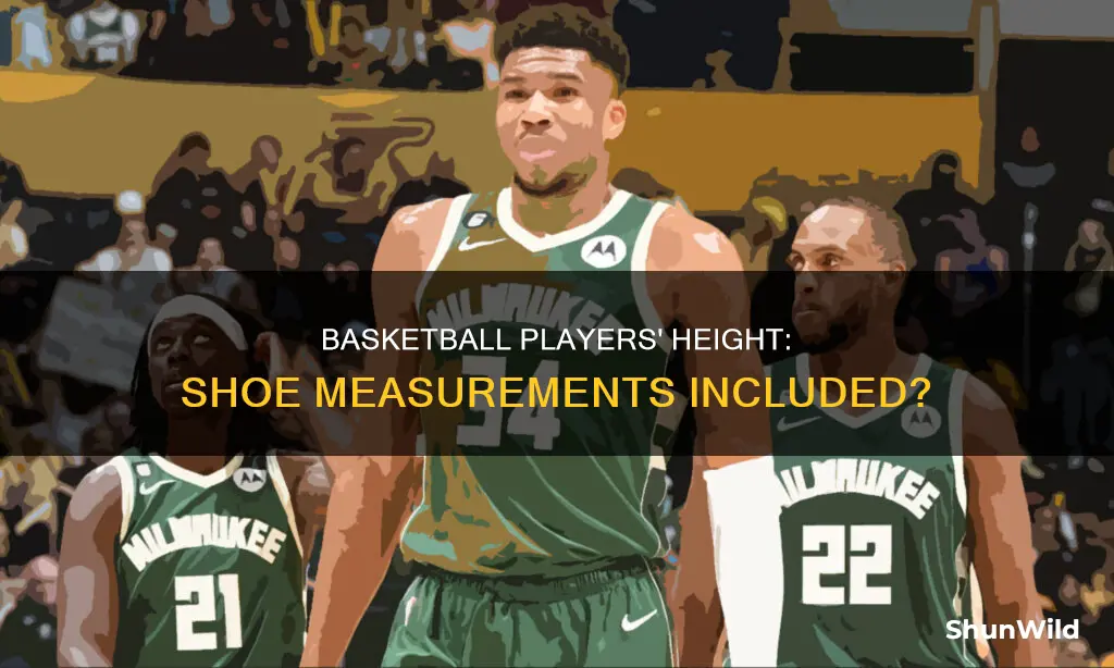 do they do basketball measurements in shoes