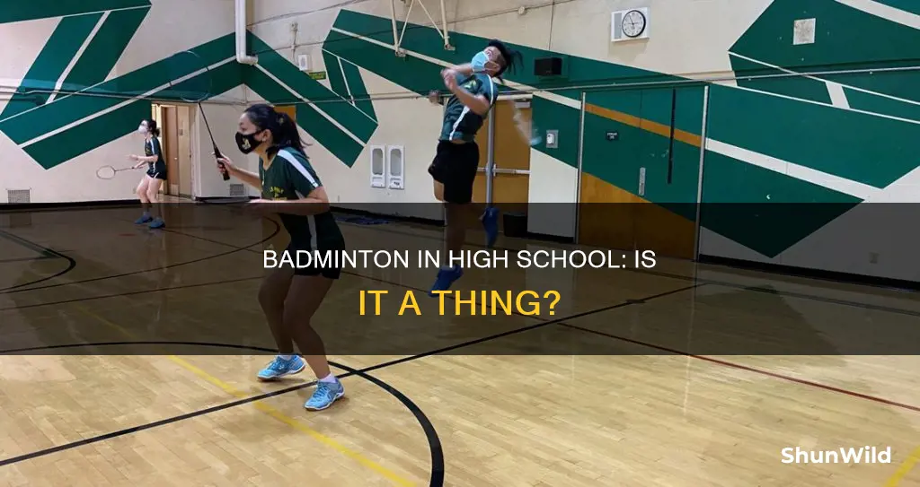 do they have badminton in high school