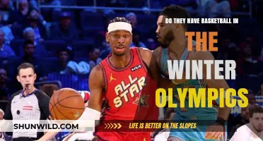 Basketball in Winter Olympics: A Strange Absence