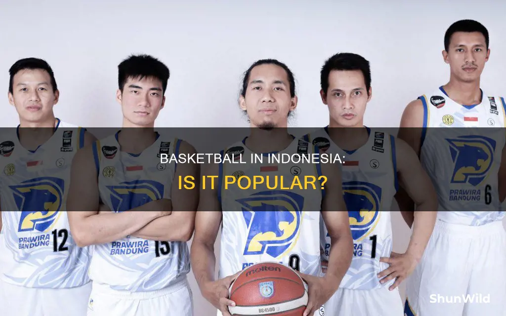 do they have basketball indonesia