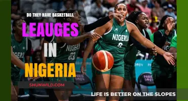 Basketball in Nigeria: Leagues and Local Talent