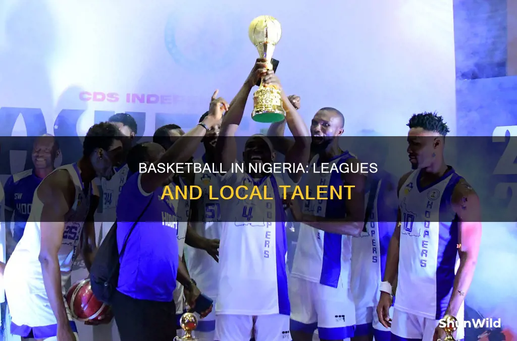 do they have basketball leauges in nigeria