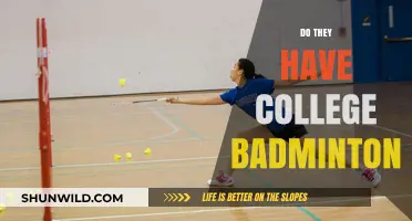 Badminton in College: An Option for Students?