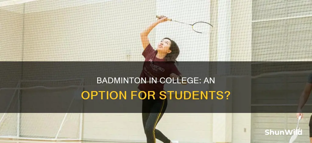 do they have college badminton