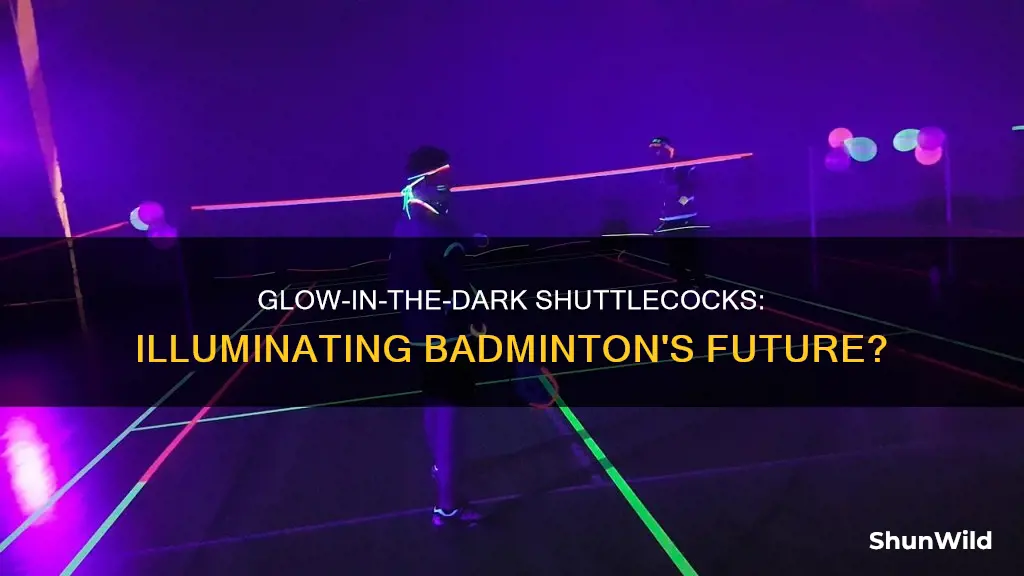 do they have glow in the dark shuttlecocks for badminton