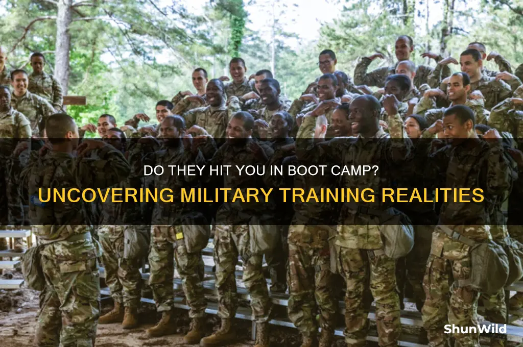 do they hit you in boot camp