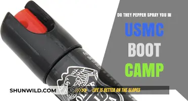 USMC Boot Camp Reality: Pepper Spray Training Explained