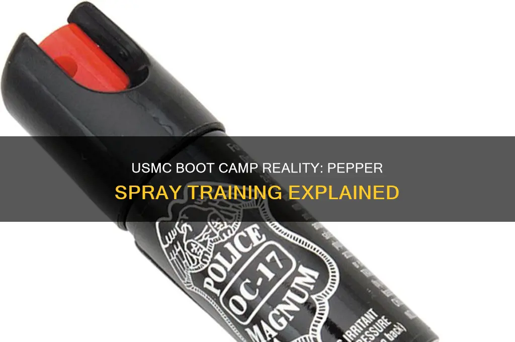 do they pepper spray you in usmc boot camp