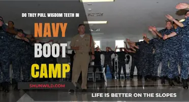 Wisdom Teeth Extraction in Navy Boot Camp: What to Expect