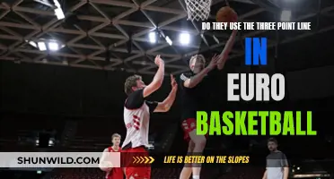 The Euro Hoops Three-Point Revolution: A Game-Changer or Just a Trend?