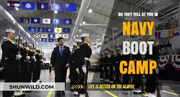 Navy Boot Camp: Yelling, Discipline, and Reality Explained