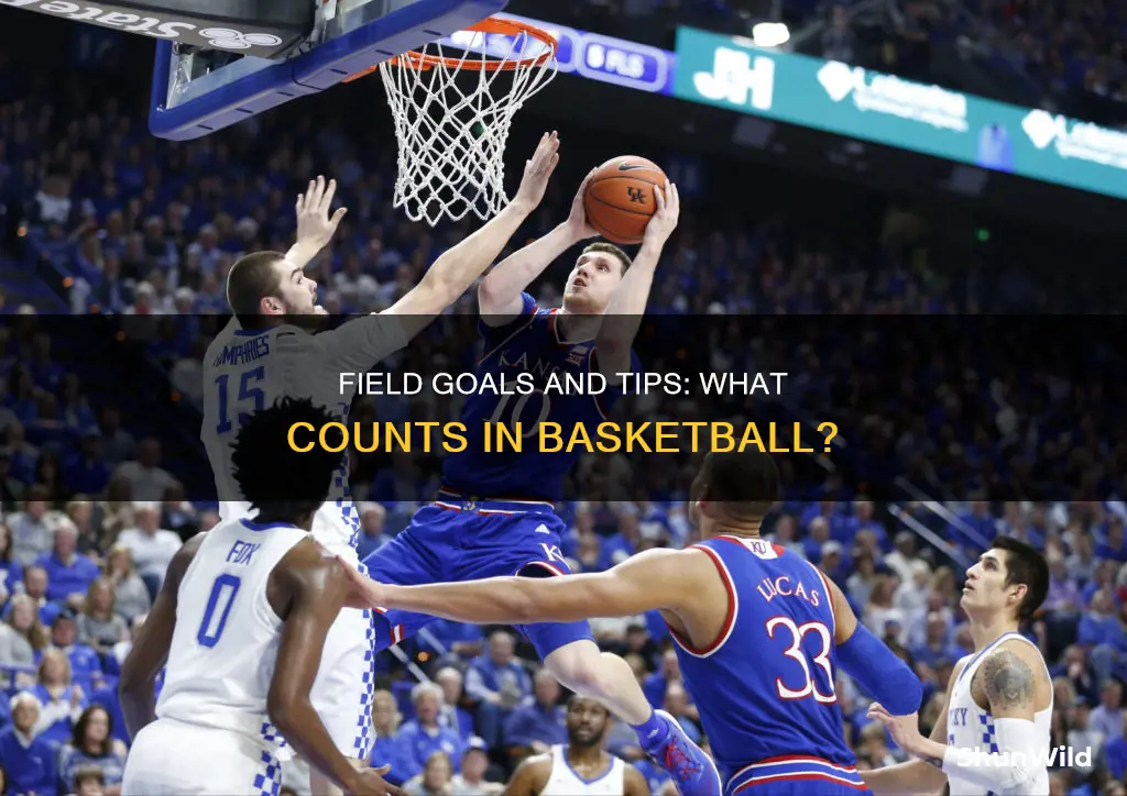 do tips count as field goals basketball