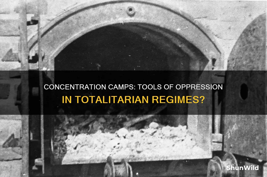 do totalitarian regimes use concentration camps