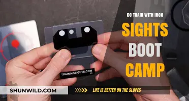 Mastering Iron Sights: Boot Camp Training for Precision and Skill