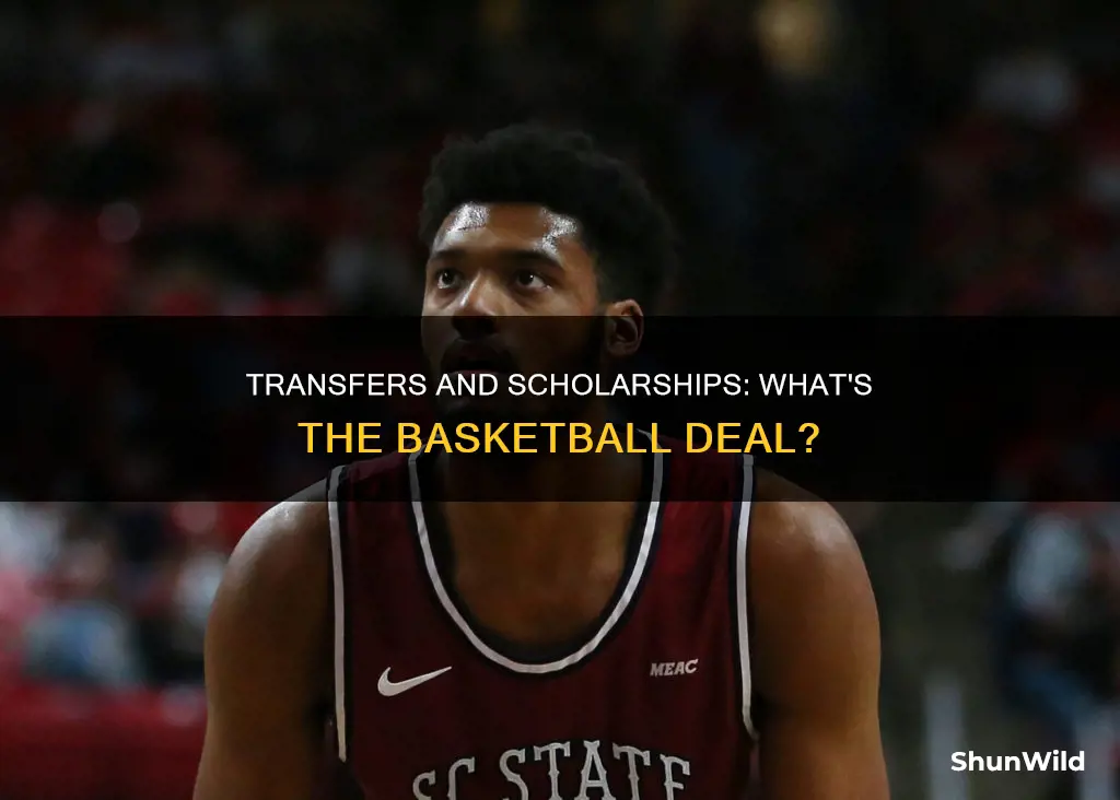 do transfers count as scholarships basketball