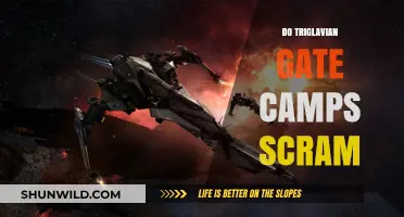Triglavian Gate Camps: Do Scrams Impact Your EVE Online Strategy?