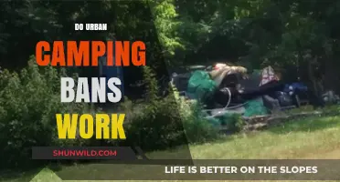 Urban Camping Bans: Effective Solutions or Temporary Fixes?