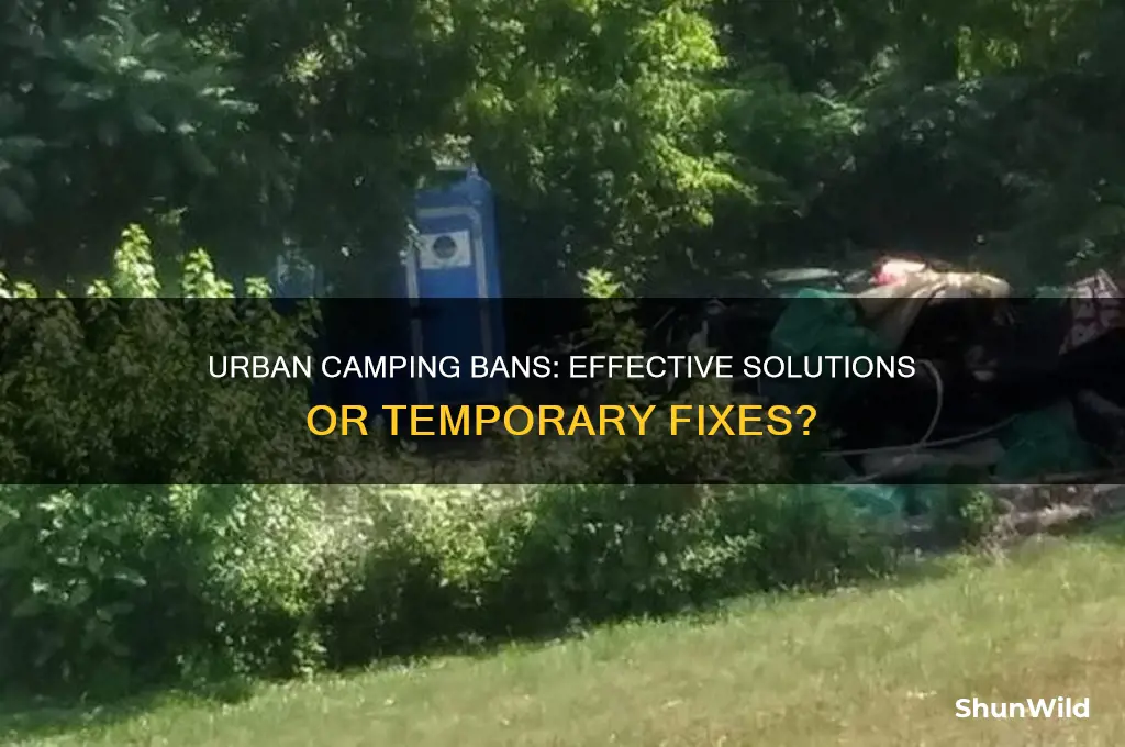do urban camping bans work