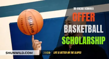 USCCA Schools: Basketball Scholarship Opportunities?