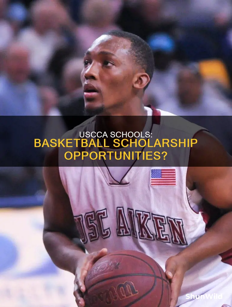 do uscaa schools offer basketball scholarships