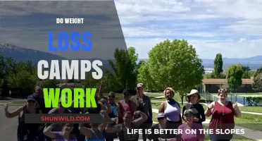 Do Weight Loss Camps Deliver Lasting Results? A Comprehensive Review