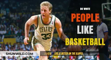 The Love of Basketball: Racial Divide
