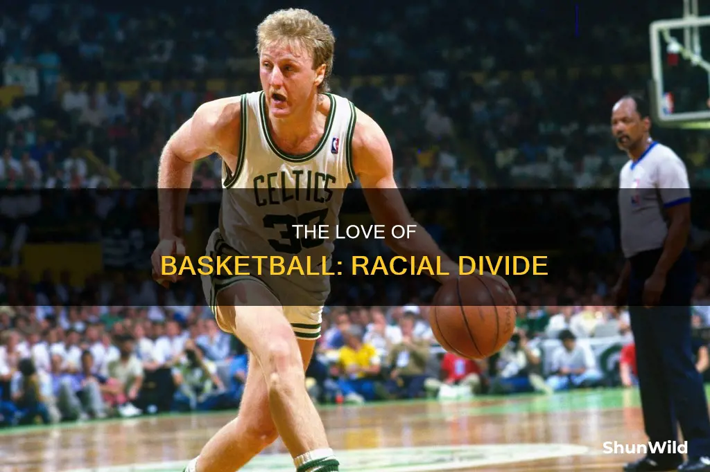 do white people like basketball