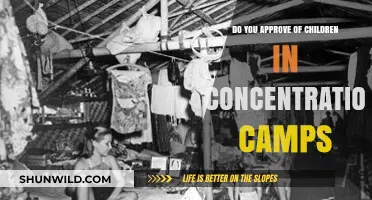 Children in Concentration Camps: A Moral and Historical Dilemma
