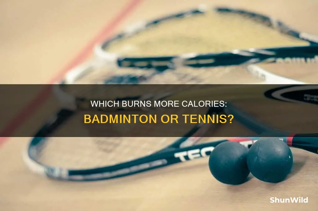 do you burn more calories in badminton or tennis