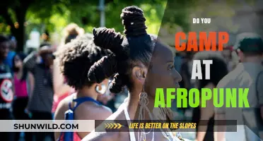 Camping at Afropunk: A Unique Festival Experience or Myth?