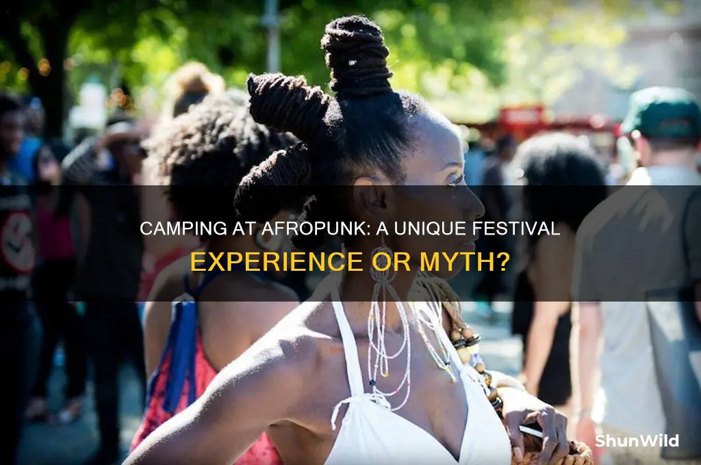 do you camp at afropunk