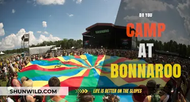 Camping at Bonnaroo: Tips, Tricks, and What to Expect