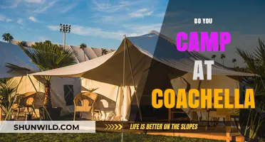 Camping at Coachella: Tips, Tricks, and What to Expect