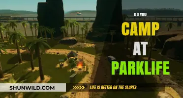 Camping at Parklife: Tips, Tricks, and What to Expect